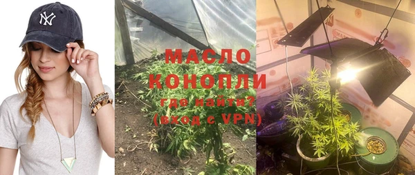 дмт Рославль