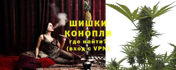 дмт Рославль