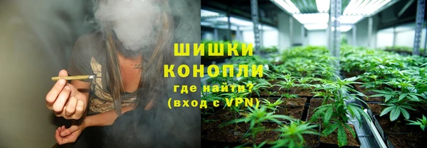 дмт Рославль