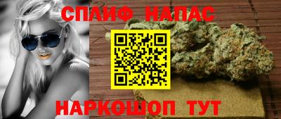 прущие грибы Малгобек