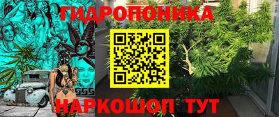 прущие грибы Малгобек