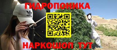 прущие грибы Малгобек