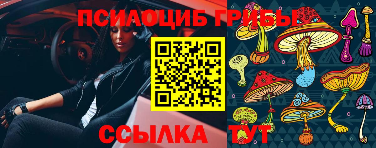 Псилоцибиновые грибы GOLDEN TEACHER  Вход с VPN  Холмск  Галлюциногенные грибы Magic Shrooms 