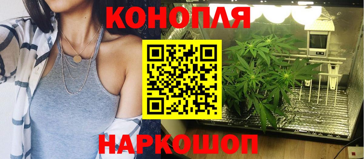 МАРИХУАНА план  Вход с VPN  Холмск  Каннабис AK-47 